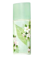 Green Tea Jasmine
