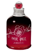 Amor Amor Absolu